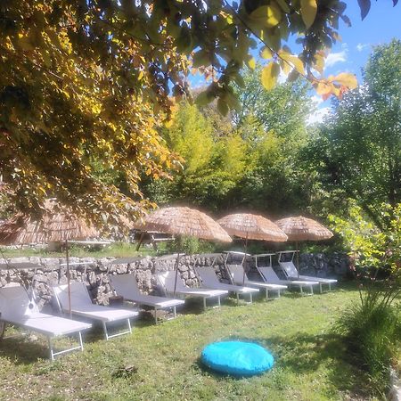 Domaine Des Petites Soeurs A 800M Du Centre Historique Avec 5200M2 De Parc Arbore Vence Luaran gambar