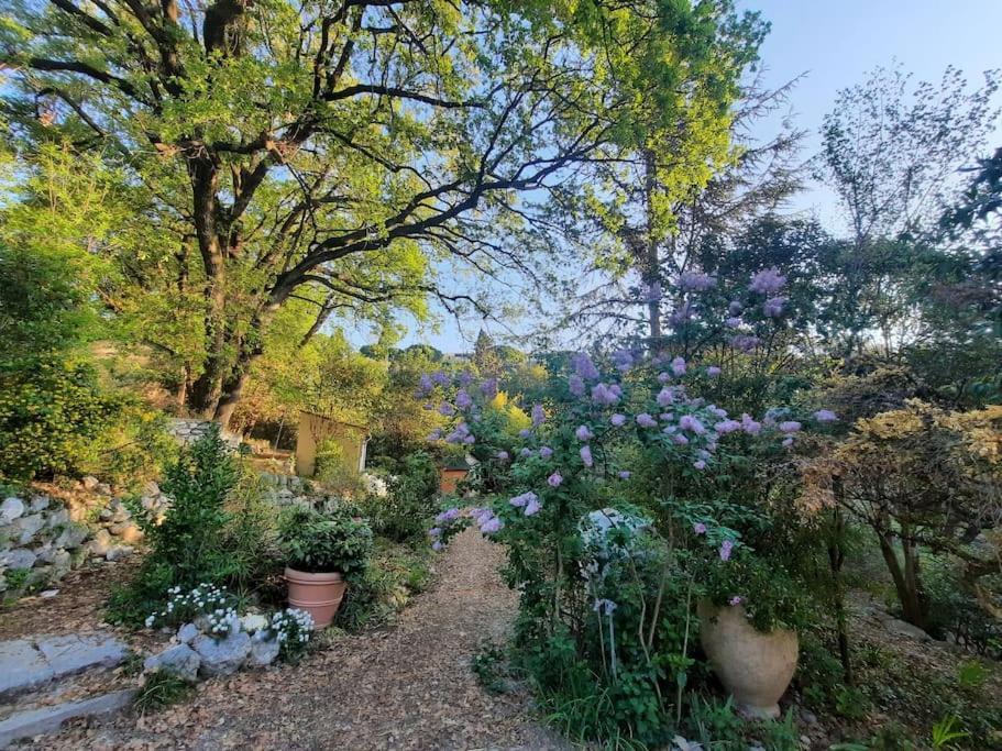 Domaine Des Petites Soeurs A 800M Du Centre Historique Avec 5200M2 De Parc Arbore Vence Luaran gambar