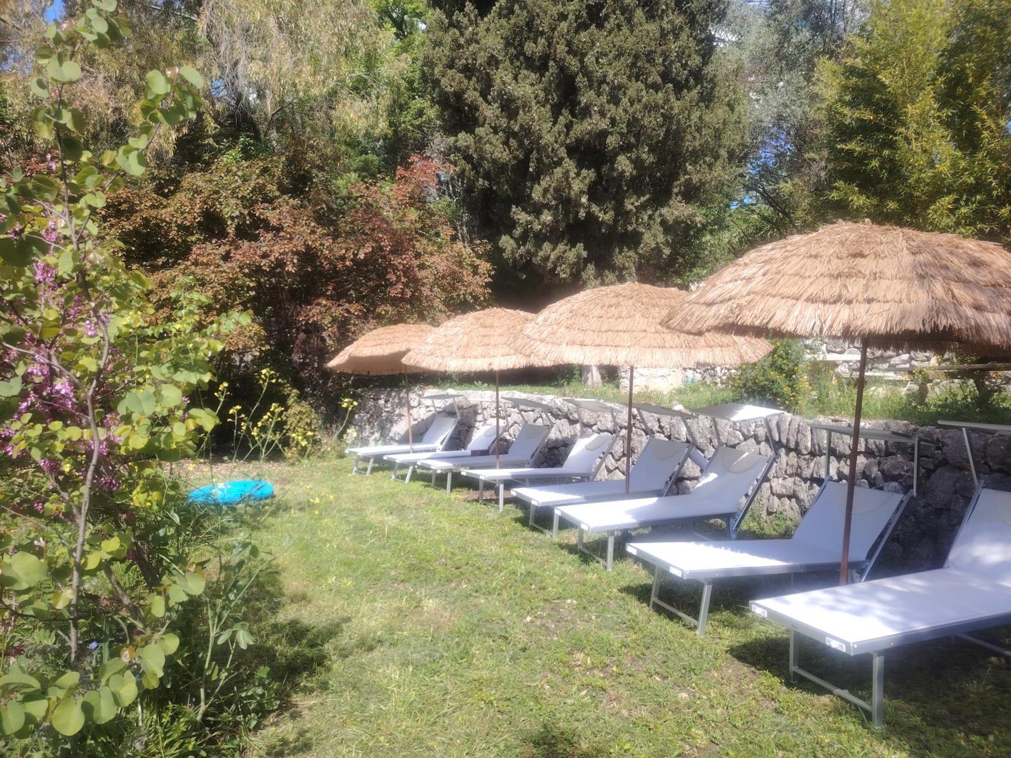Domaine Des Petites Soeurs A 800M Du Centre Historique Avec 5200M2 De Parc Arbore Vence Luaran gambar